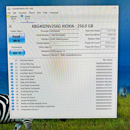kioxia 2280mm 66 BTB 256GB M.2 NVMe Gen 3.0 x 4 SSD KBG40ZNV256G