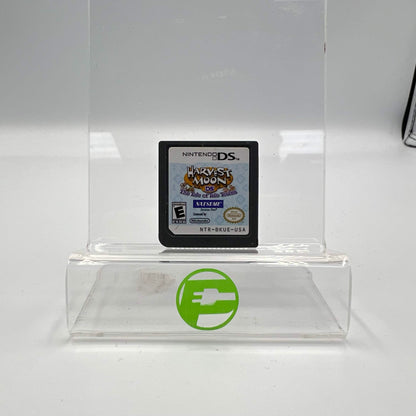 Harvest Moon: The Tale of Two Towns (Nintendo DS, 2011)